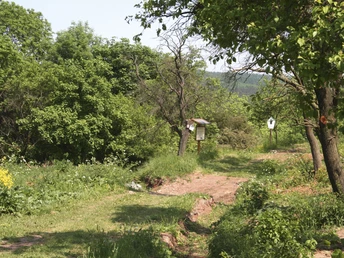 Circular hiking trail Pölsfeld