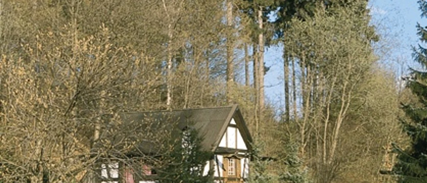 Glashütte - Schwarzes Holz - Glashütte