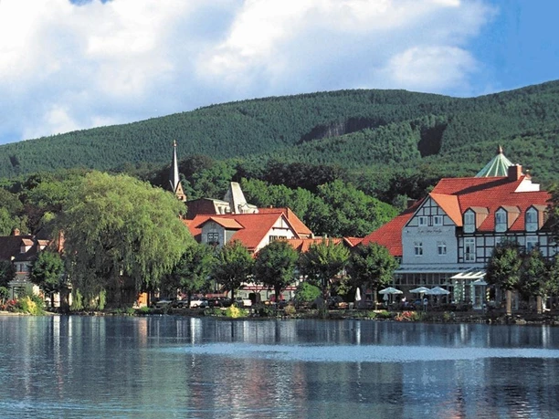 Forellenteich in Ilsenburg