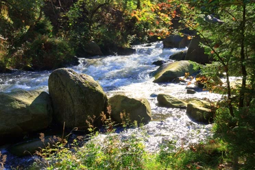 Stromschnellen der Oker