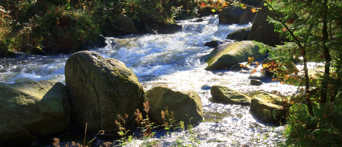 Stromschnellen der Oker