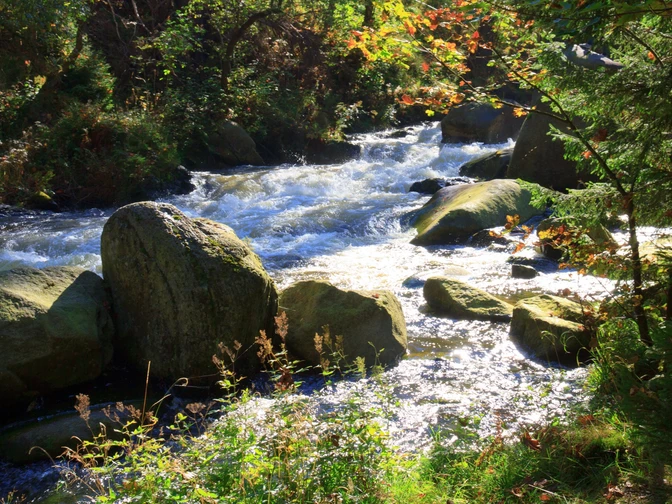 Stromschnellen der Oker
