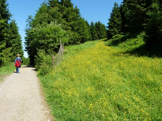 Breite Wege ohne große Steigungen