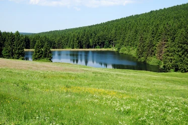 View of the Auerhahnteich