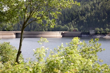 Staumauer Okertalsperre