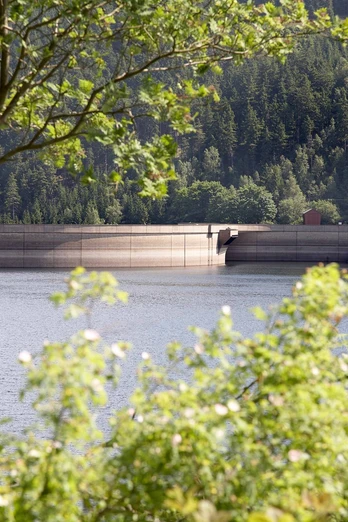 Staumauer Okertalsperre