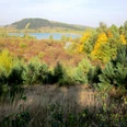 Ein Blick über die bergbaulichen Absitzteiche zum Sudmerberg