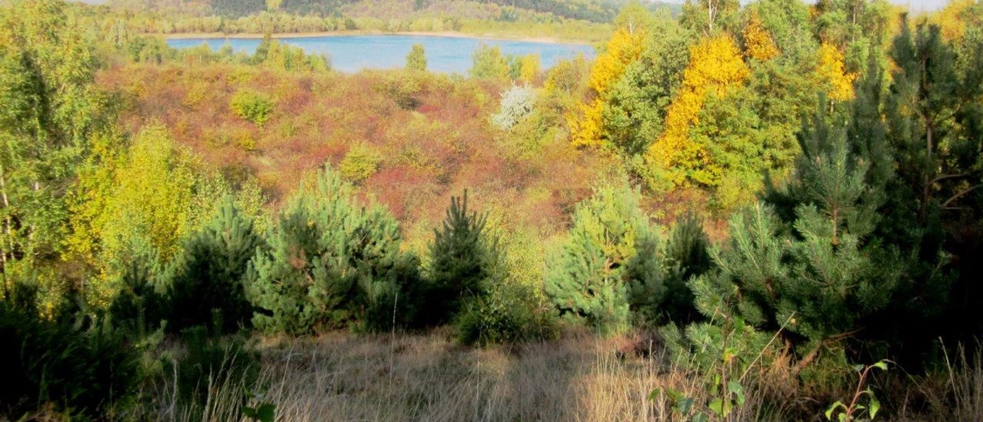 Ein Blick über die bergbaulichen Absitzteiche zum Sudmerberg