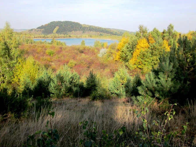 Ein Blick über die bergbaulichen Absitzteiche zum Sudmerberg