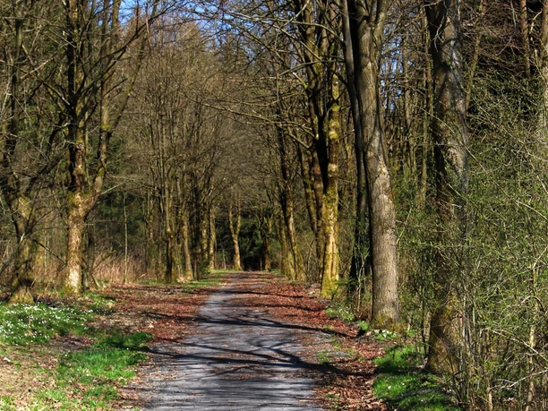 Anfahrweg der Bergleute