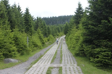 Kolonnenweg am Eckersprung