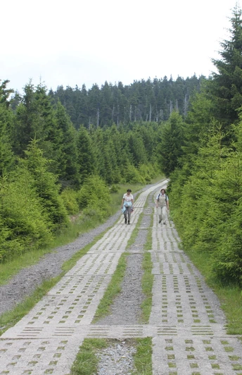 Kolonnenweg am Eckersprung