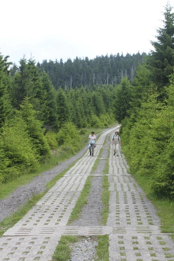 Kolonnenweg am Eckersprung