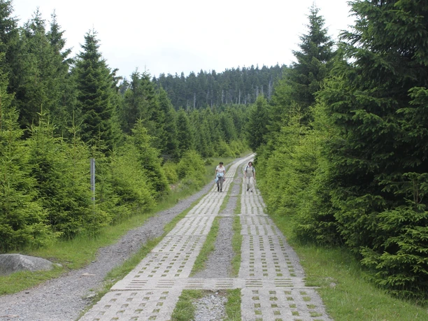 Kolonnenweg am Eckersprung