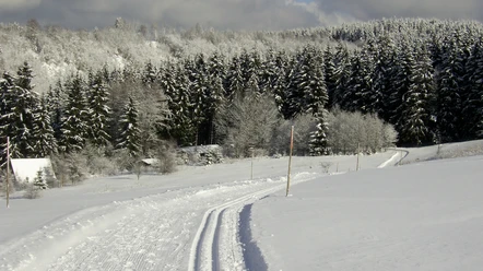 Wintersport in Altenau