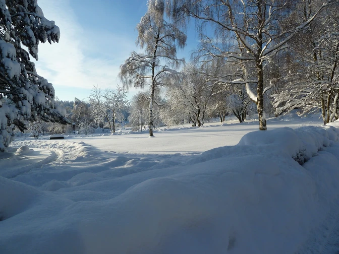 Hahnenkleer Bergstraße