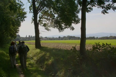 Pilgerwanderung auf der Via Romea mit Brockenblick