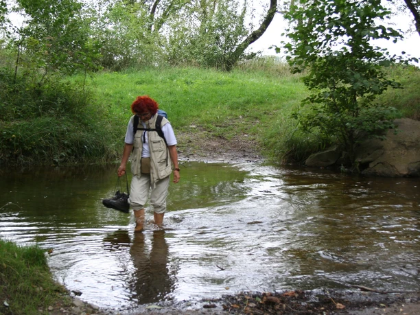 Durch das Flüsschen Ilse bei Veckenstedt