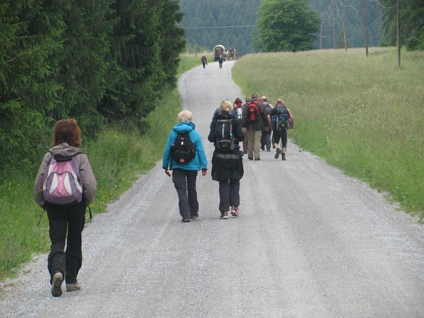 Between limestone quarry and Königshütte