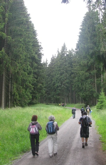 Weg zwischen Königshütte und Rappbode-Vorsperre