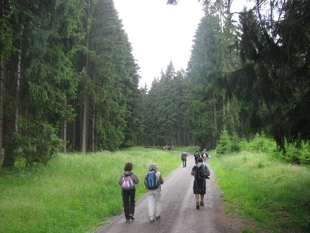 Path between Königshütte and Rappbode Forebay
