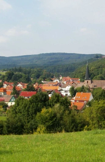 Blick über Neustadt im Harz