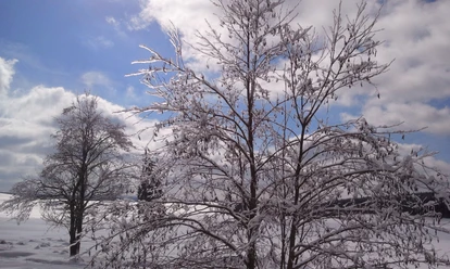Winter im Oberharz