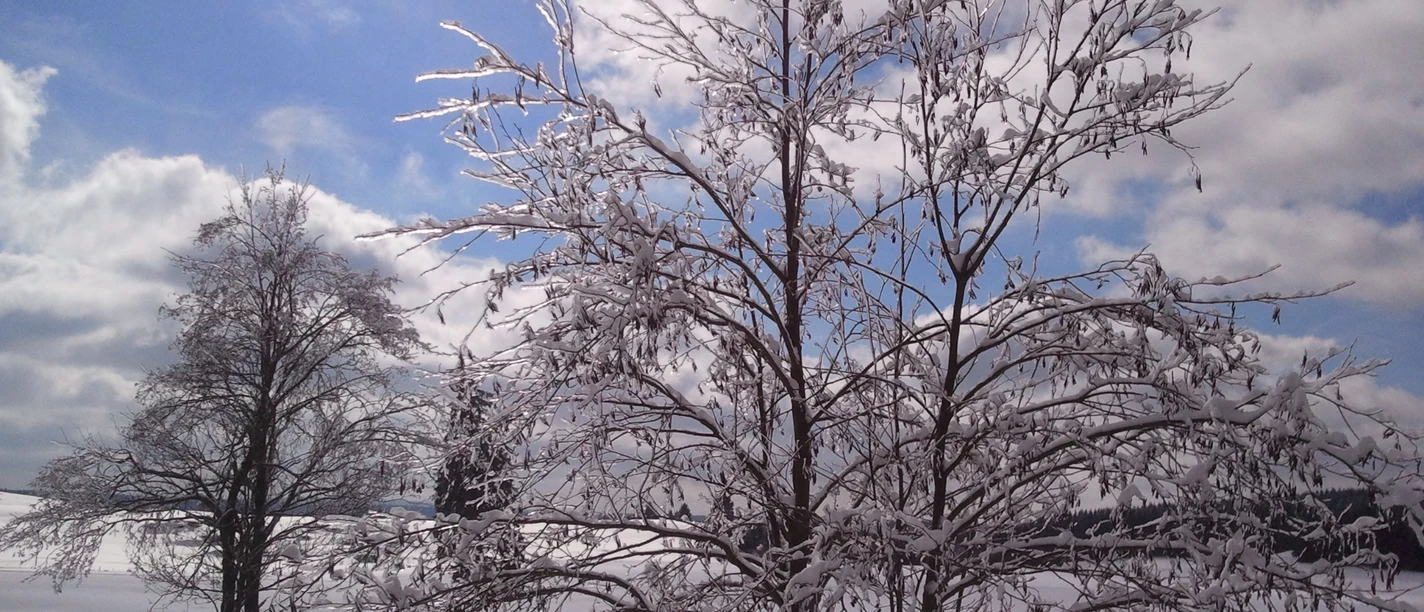 Winter im Oberharz