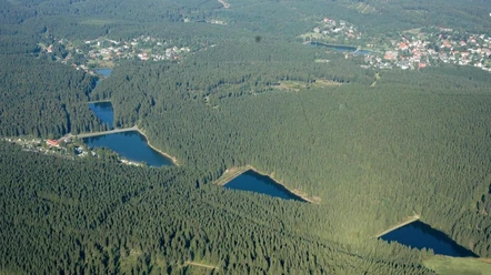 Auerhahnteiche