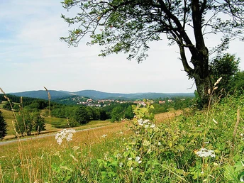 Blick auf Sankt Andreasberg