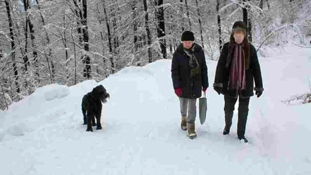 Winterwandern in Bad Grund