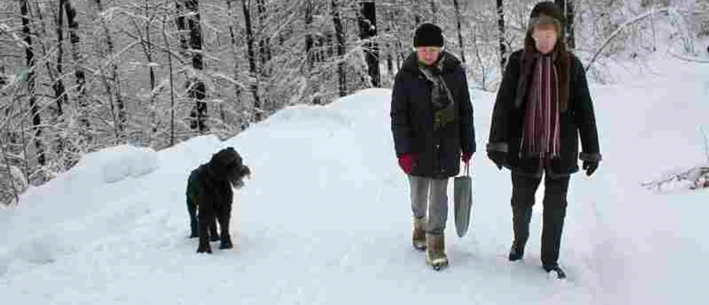 Winterwandern in Bad Grund