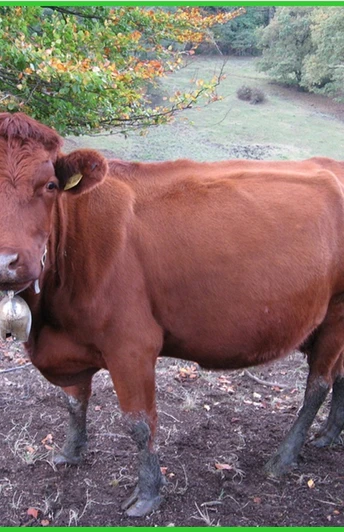 Kleiner Weiderundweg