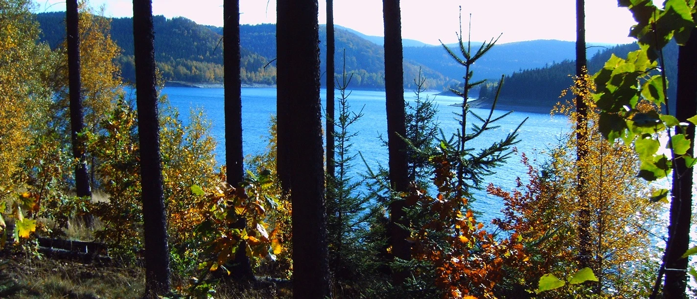 Rundwanderweg 4 - Granetalsperre