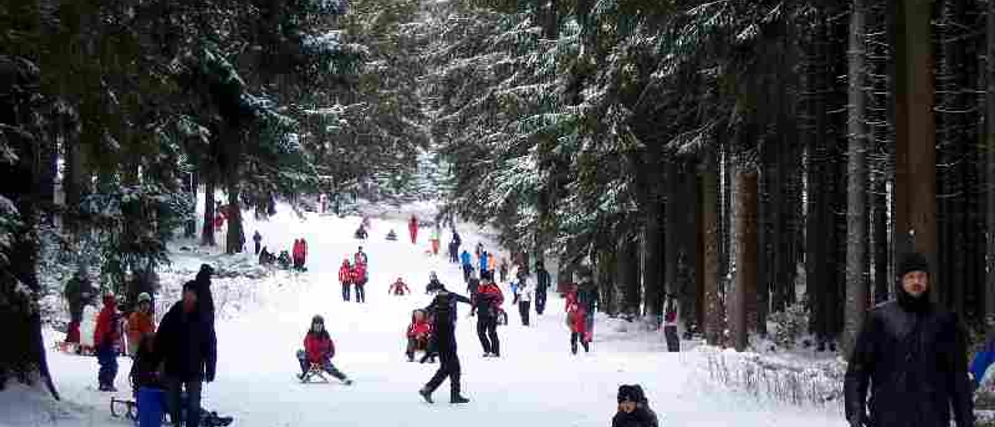 Toboggan run on the Wurmberg