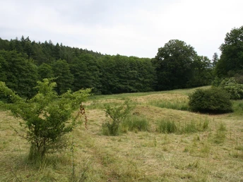 Ehemaliges Gelände KLoster Himmelpforte
