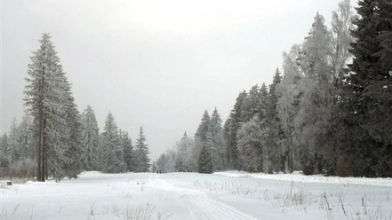 Trautenstein