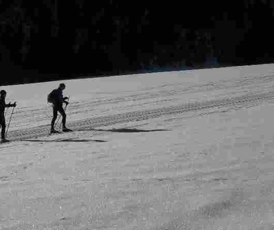 Braunlager cross-country ski trail