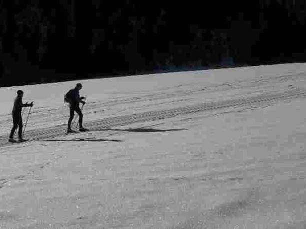 Braunlager cross-country ski trail