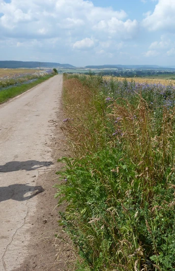 Mittelalterliches Wegekreuz vor Rüxleben