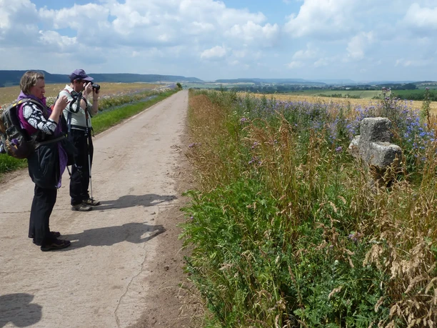 Medieval wayside cross in front of Rüxleben