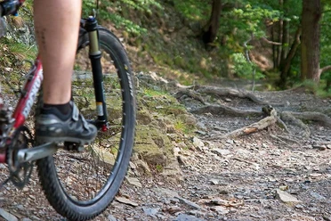 Trail bei Stecklenberg.