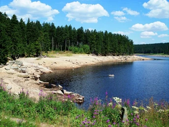 Oderteich bei St. Andreasberg