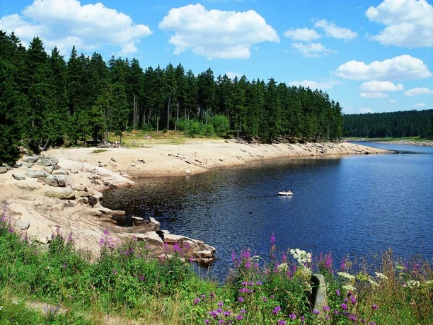 Oderteich bei St. Andreasberg