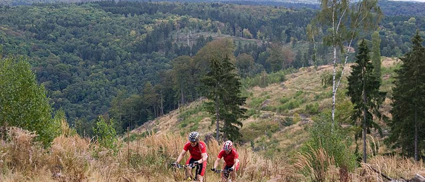 Oberhalb von Treseburg.