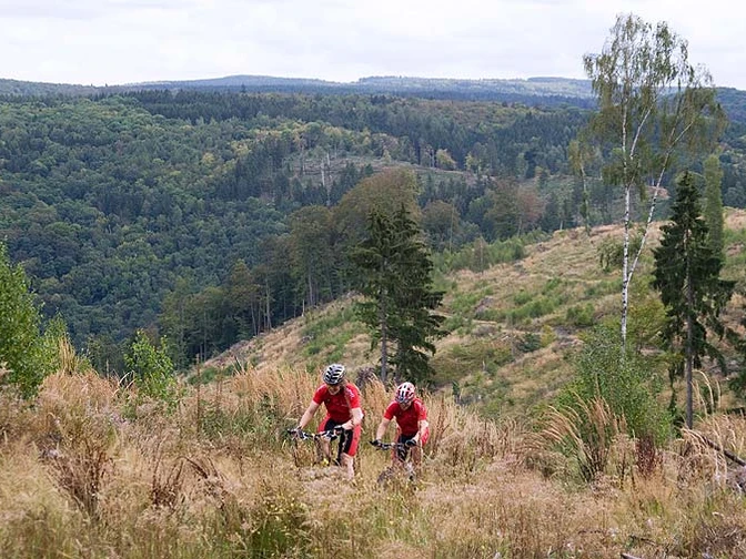 Oberhalb von Treseburg.