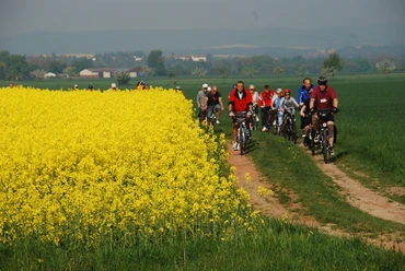 Rad- und Naturerlebnistouren am Grünen Band im nördlichen Harzvorland