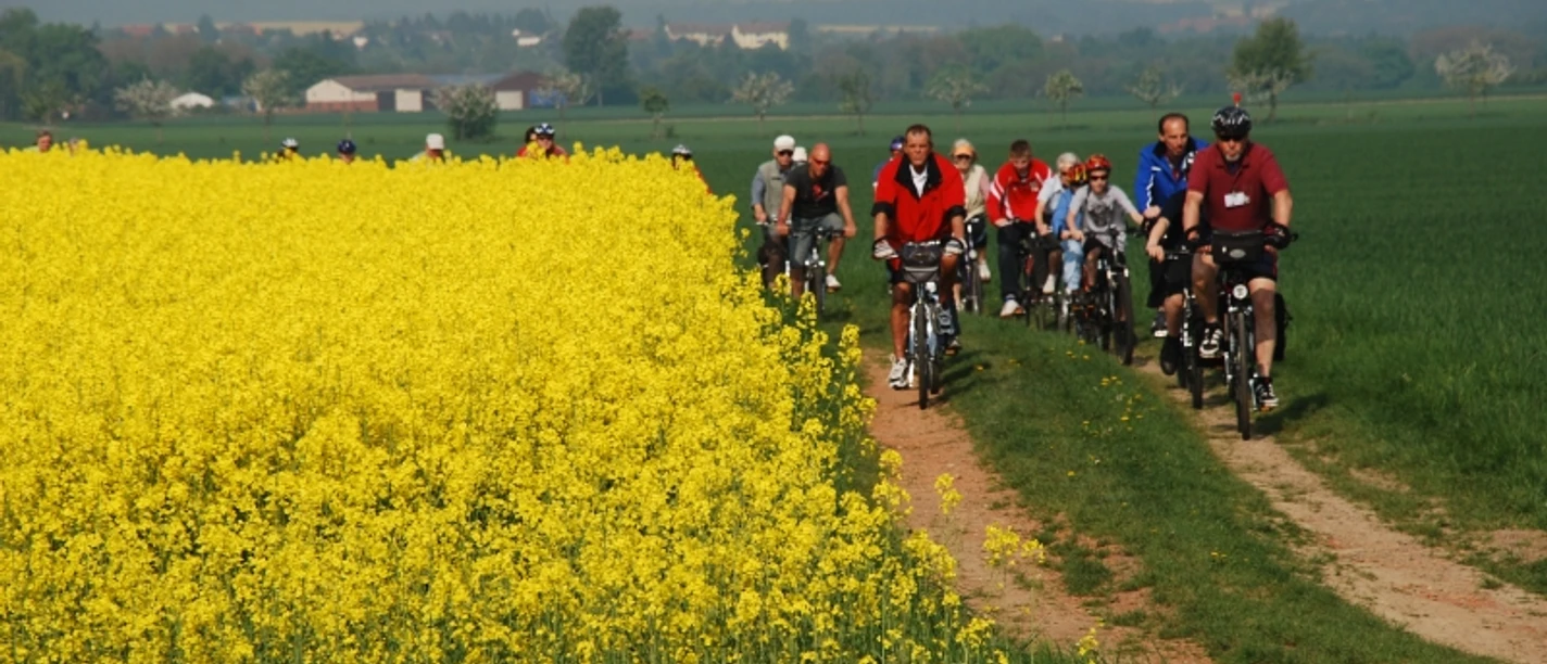 Rad- und Naturerlebnistouren am Grünen Band im nördlichen Harzvorland