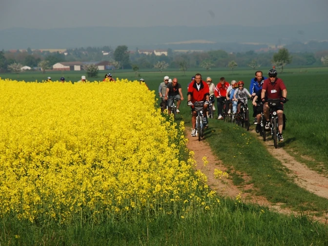 Rad- und Naturerlebnistouren am Grünen Band im nördlichen Harzvorland