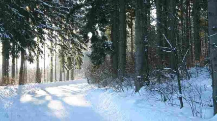 Winterwandern
